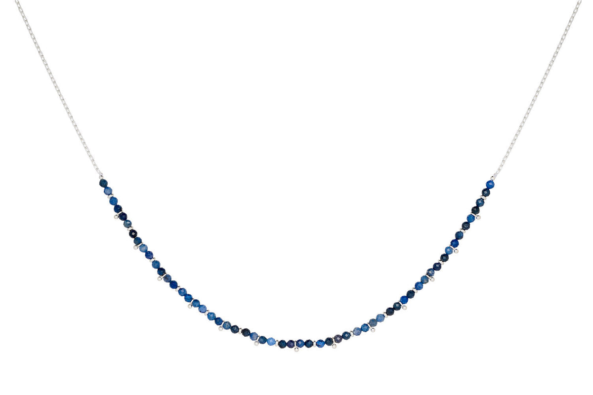 Salus Silver & Sodalite Gemstone Necklace